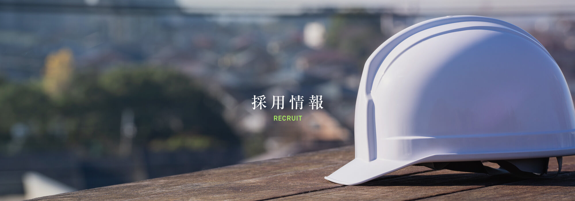 採用情報